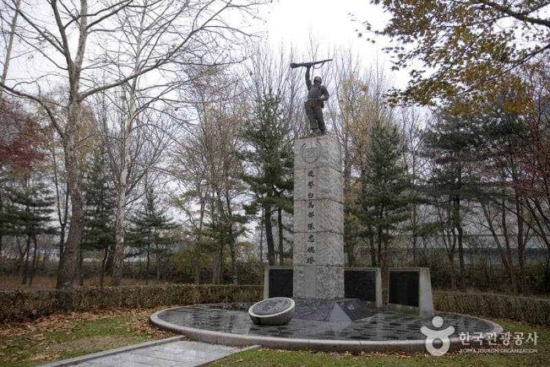 Yangjae Citizens' Park  (78/85)