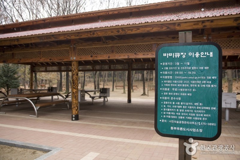 Yangjae Citizens' Park  (81/85)