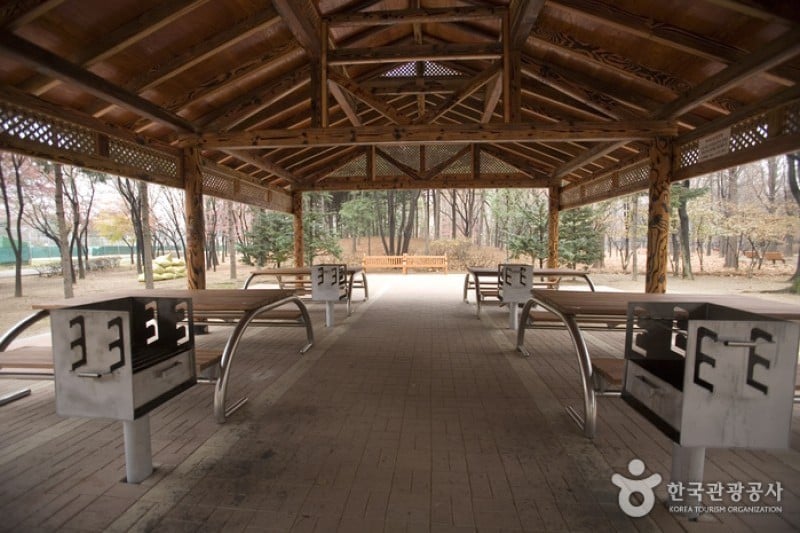 Yangjae Citizens' Park  (82/85)