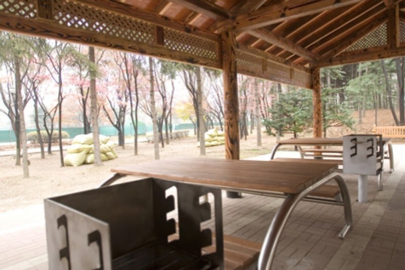 Yangjae Citizens' Park  (83/85)