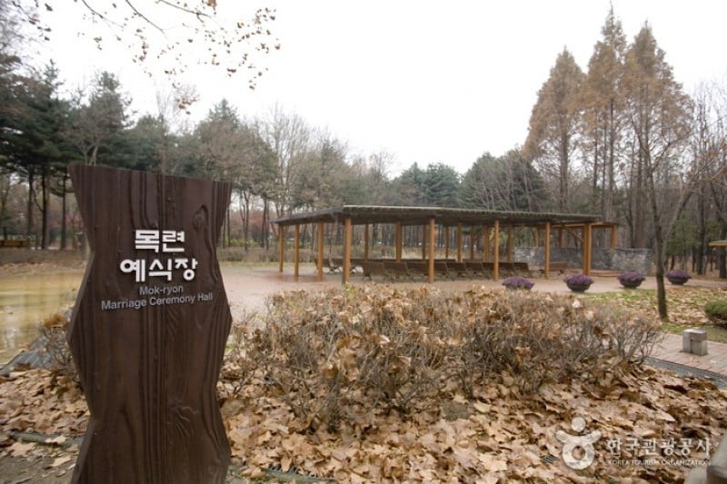 Yangjae Citizens' Park  (84/85)