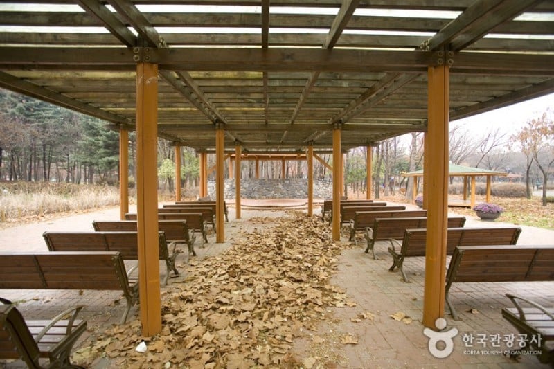 Yangjae Citizens' Park  (85/85)