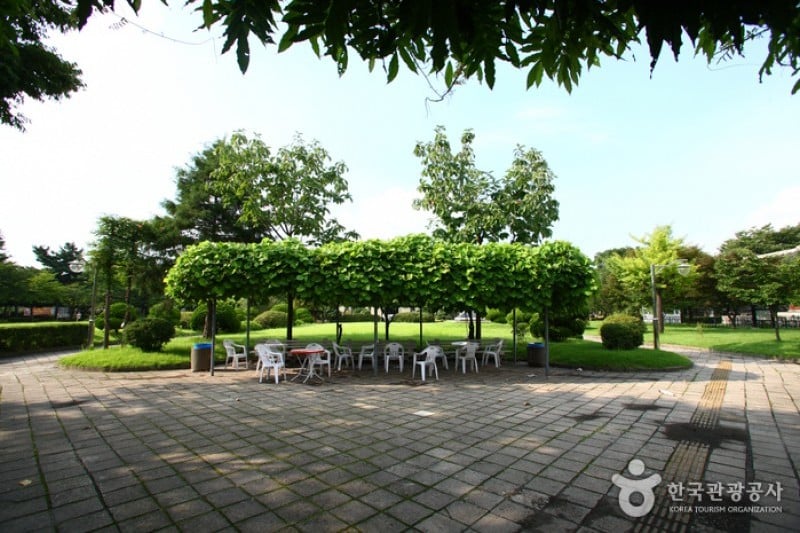 Jeongdok Library  (3/8)