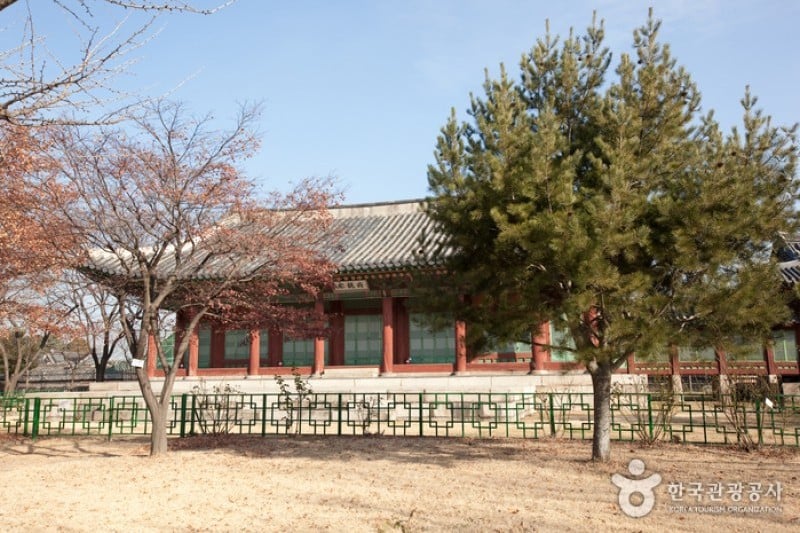 Jeongdok Library  (7/8)