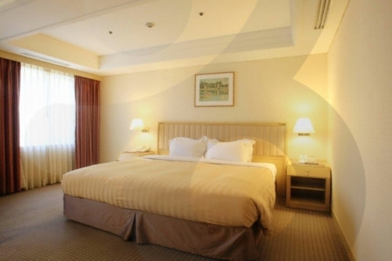 Seoul Garden Hotel  (14/31)