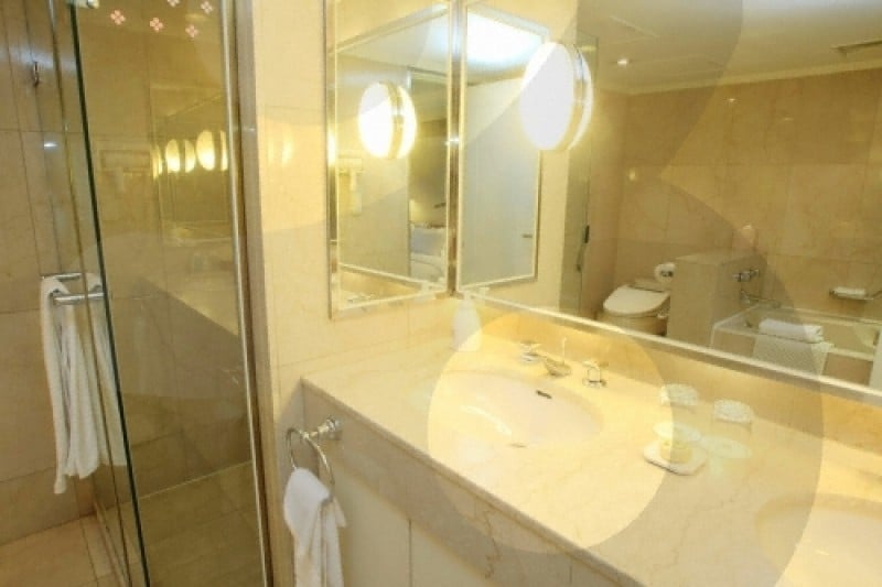 Seoul Garden Hotel  (21/31)