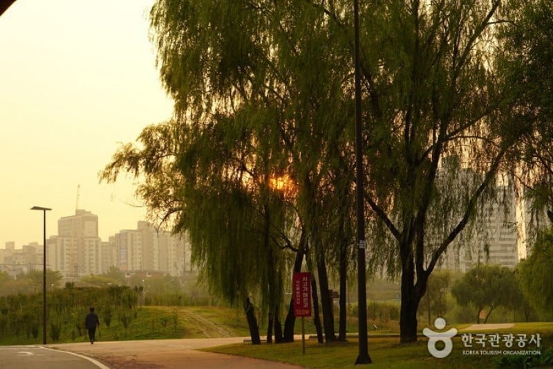 Yanghwa Hangang Park  (4/6)