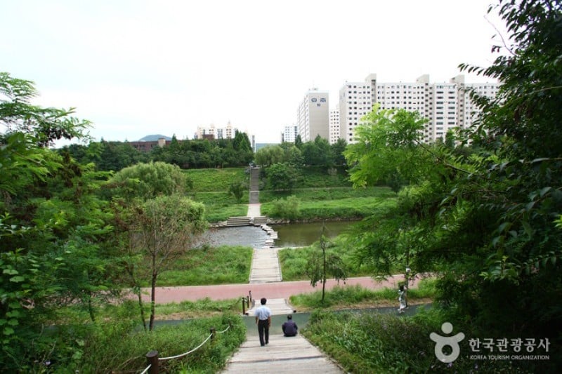 Yangjaecheon Stream Trail (양재천길) (1/9)