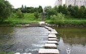 Yangjaecheon Stream Trail (양재천길)