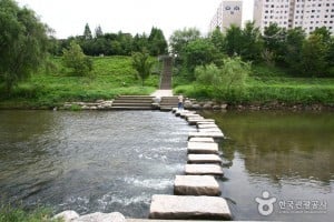 Yangjaecheon Stream Trail (양재천길)