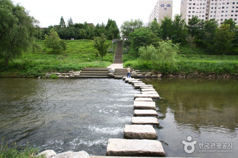 Yangjaecheon Stream Trail (양재천길) (2/9)