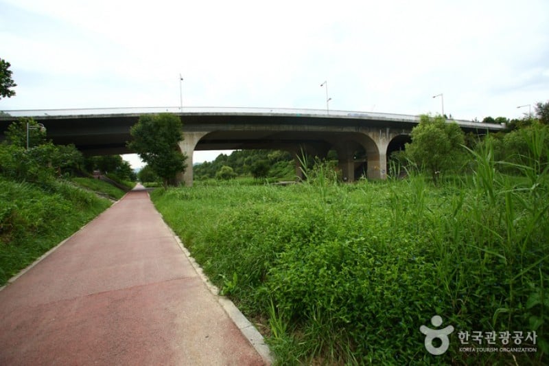 Yangjaecheon Stream Trail (양재천길) (3/9)