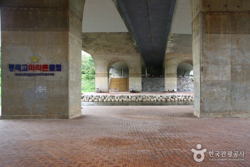 Yangjaecheon Stream Trail (양재천길) (4/9)