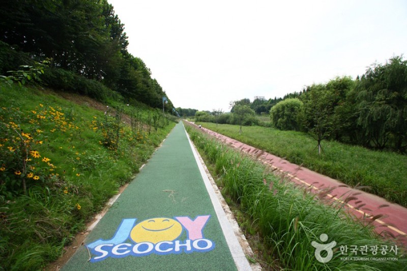 Yangjaecheon Stream Trail (양재천길) (5/9)