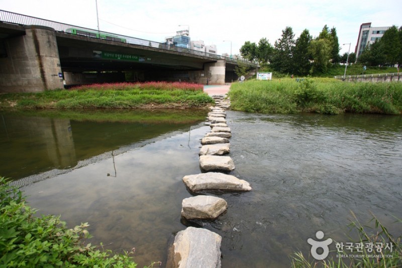 Yangjaecheon Stream Trail (양재천길) (6/9)