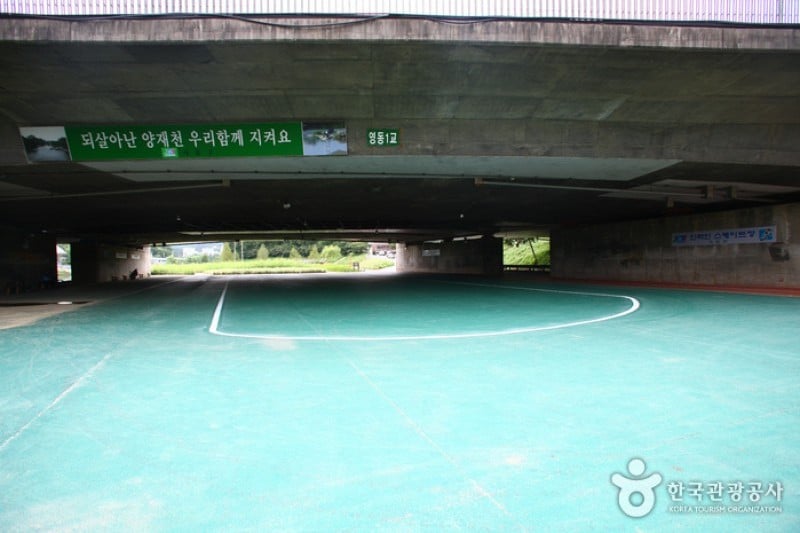 Yangjaecheon Stream Trail (양재천길) (7/9)