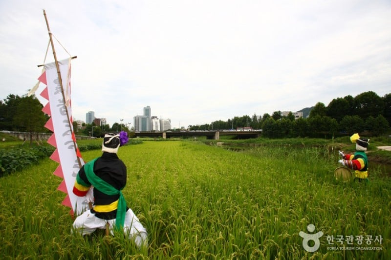 Yangjaecheon Stream Trail (양재천길) (9/9)