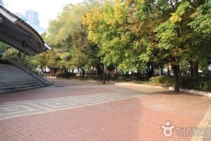 Seoul Nori Madang 