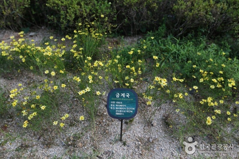 Namsan Botanical Garden  (1/5)