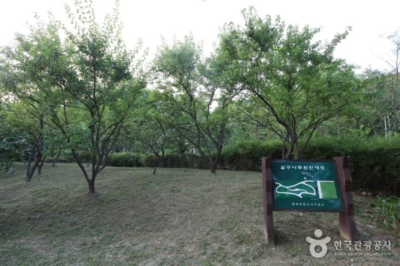 Namsan Botanical Garden  (3/5)