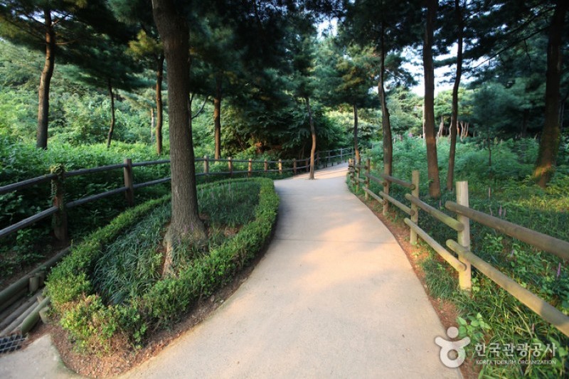 Namsan Botanical Garden  (5/5)
