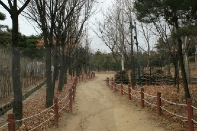 Hyochang Park  (9/10)