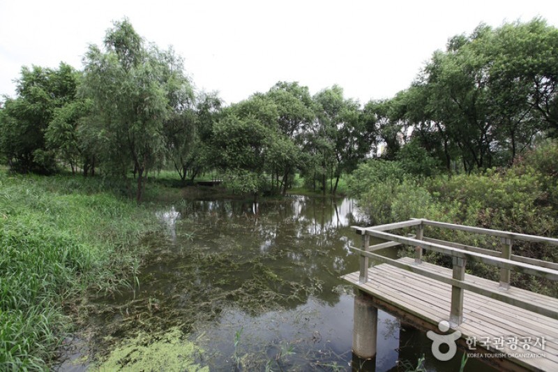 Yeouido Saetgang Ecological Park (여의도샛강생태공원) (2/12)