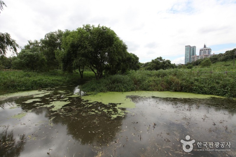 Yeouido Saetgang Ecological Park (여의도샛강생태공원) (4/12)