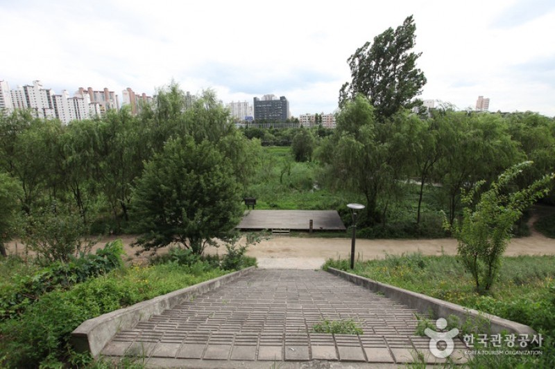 Yeouido Saetgang Ecological Park (여의도샛강생태공원) (6/12)