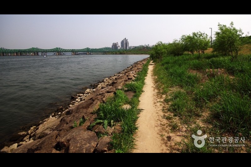 Yeouido Saetgang Ecological Park (여의도샛강생태공원) (7/12)
