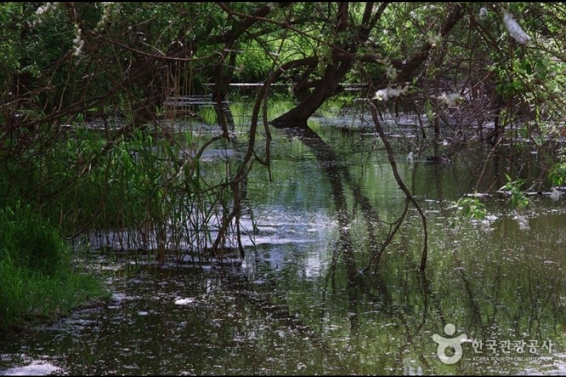 Yeouido Saetgang Ecological Park (여의도샛강생태공원) (8/12)