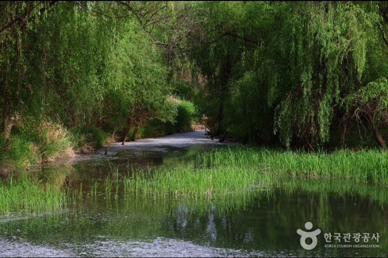 Yeouido Saetgang Ecological Park (여의도샛강생태공원) (9/12)