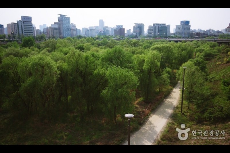 Yeouido Saetgang Ecological Park (여의도샛강생태공원) (10/12)