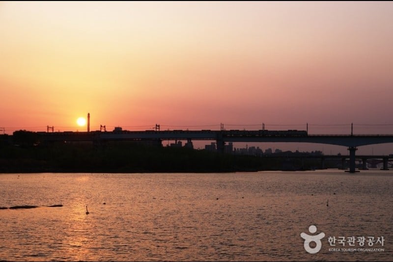 Yeouido Saetgang Ecological Park (여의도샛강생태공원) (11/12)