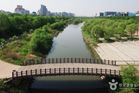 Yeouido Saetgang Ecological Park (여의도샛강생태공원)