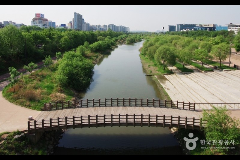 Yeouido Saetgang Ecological Park (여의도샛강생태공원) (12/12)