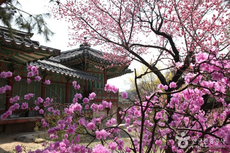 Nakseonjae Hall (낙선재) (4/20)