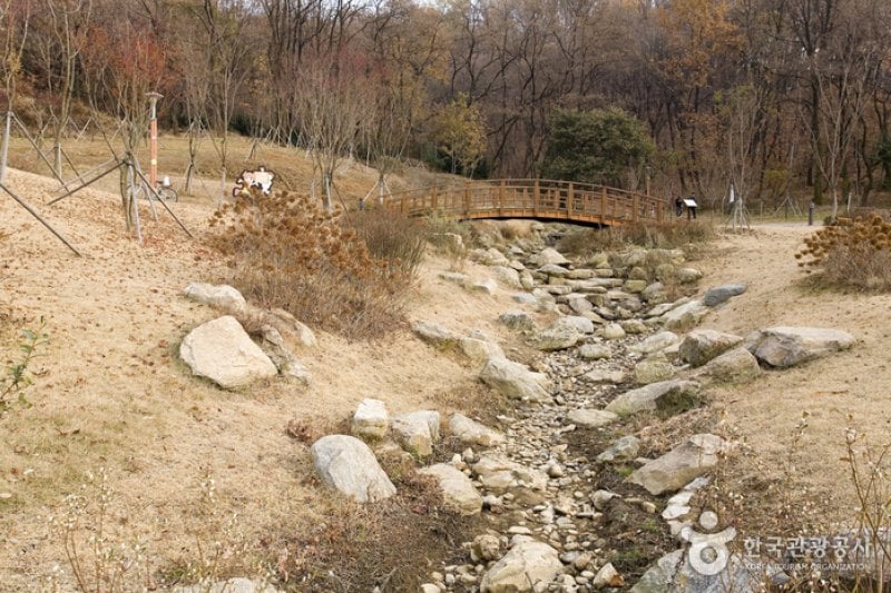 Iljasan Mountain Natural Park (일자산자연공원) (3/12)