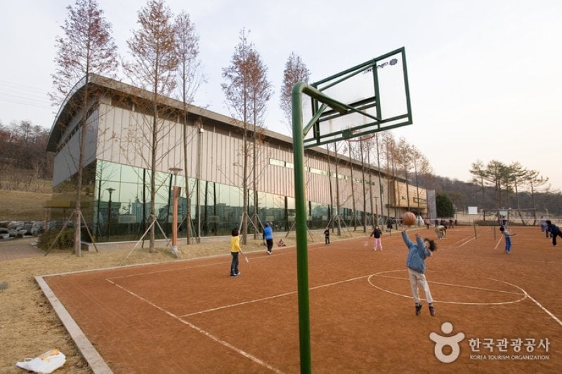 Iljasan Mountain Natural Park (일자산자연공원) (6/12)