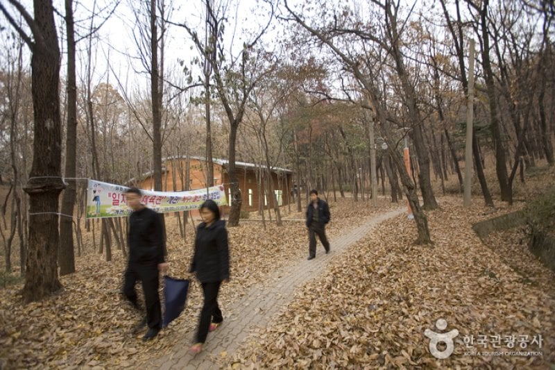 Iljasan Mountain Natural Park (일자산자연공원) (11/12)