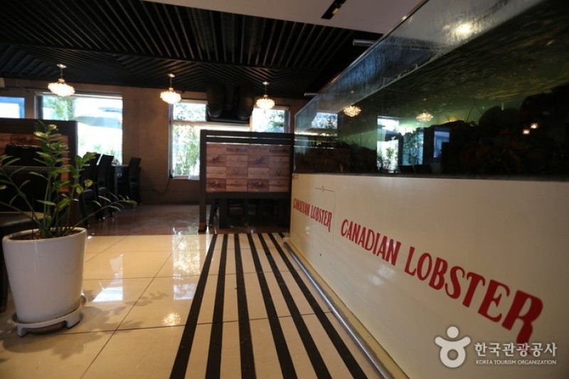 Canadian Lobster (카나디안 랍스터) (1/3)
