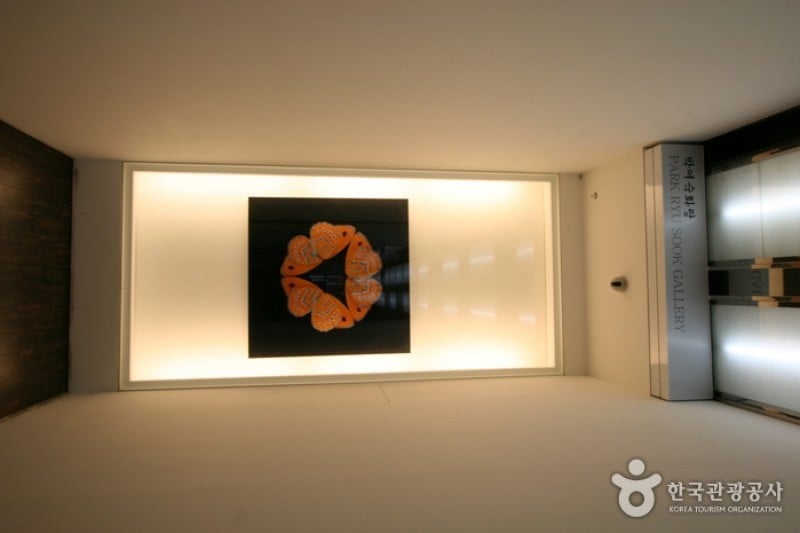 Park Ryu Sook Gallery  (6/6)