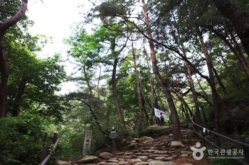 Geumseonsa Temple  (2/13)