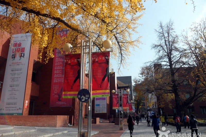 Seoul Dance Festival  (1/5)