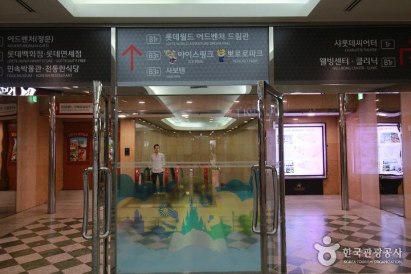 Lotte World Indoor Ice Skating Rink (2/10)