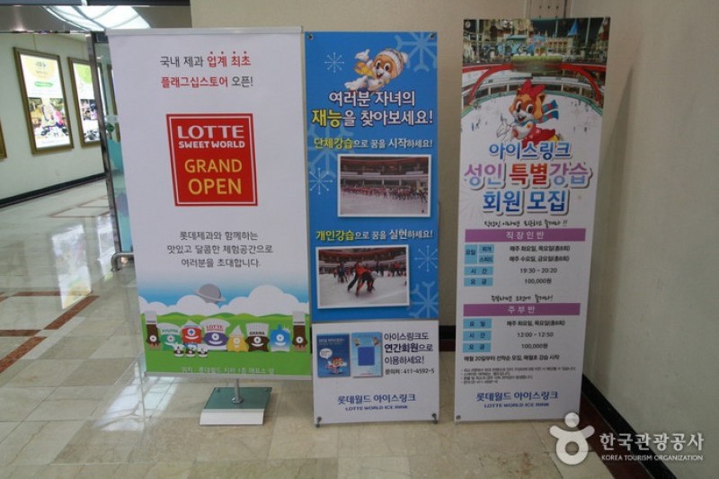 Lotte World Indoor Ice Skating Rink (4/10)