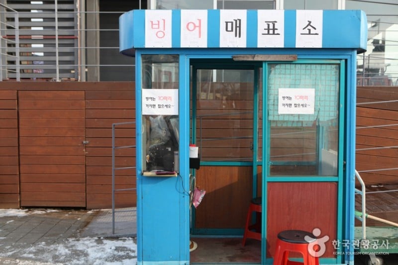Ttukseom Hangang Park Sledding Hill  (11/25)