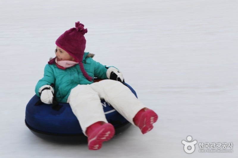 Ttukseom Hangang Park Sledding Hill  (16/25)