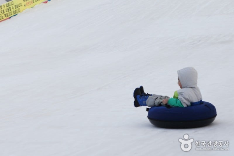 Ttukseom Hangang Park Sledding Hill  (18/25)