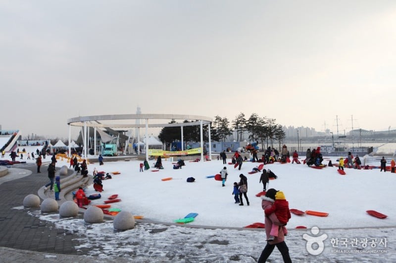 Ttukseom Hangang Park Sledding Hill  (22/25)